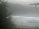 ./images/calvert/beach/20210826/beach20210826_165003.jpg