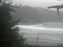 ./images/calvert/beach/20210826/beach20210826_170503.jpg