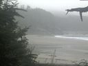 ./images/calvert/beach/20210827/beach20210827_091003.jpg