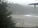 ./images/calvert/beach/20210827/beach20210827_092002.jpg