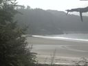 ./images/calvert/beach/20210828/beach20210828_131501.jpg