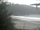./images/calvert/beach/20210828/beach20210828_145002.jpg