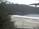 ./images/calvert/beach/20210829/beach20210829_142003.jpg