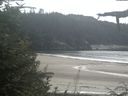 ./images/calvert/beach/20210902/beach20210902_133503.jpg
