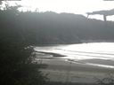 ./images/calvert/beach/20210903/beach20210903_135002.jpg