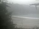 ./images/calvert/beach/20210904/beach20210904_151502.jpg