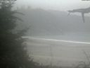 ./images/calvert/beach/20210904/beach20210904_152002.jpg