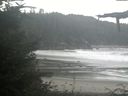 ./images/calvert/beach/20210905/beach20210905_104501.jpg