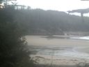 ./images/calvert/beach/20210907/beach20210907_072502.jpg