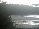 ./images/calvert/beach/20210907/beach20210907_095501.jpg