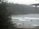 ./images/calvert/beach/20210908/beach20210908_144001.jpg