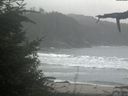 ./images/calvert/beach/20210908/beach20210908_145501.jpg