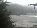 ./images/calvert/beach/20210909/beach20210909_110502.jpg