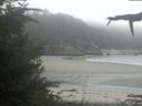 ./images/calvert/beach/20210909/beach20210909_111003.jpg