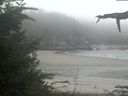 ./images/calvert/beach/20210909/beach20210909_112003.jpg