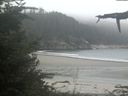 ./images/calvert/beach/20210909/beach20210909_120502.jpg