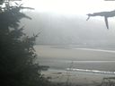 ./images/calvert/beach/20210910/beach20210910_082501.jpg