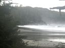 ./images/calvert/beach/20210911/beach20210911_073501.jpg