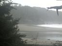 ./images/calvert/beach/20210911/beach20210911_090502.jpg