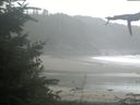 ./images/calvert/beach/20210911/beach20210911_091002.jpg