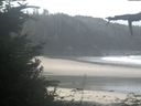 ./images/calvert/beach/20210911/beach20210911_105002.jpg
