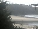 ./images/calvert/beach/20210911/beach20210911_110502.jpg