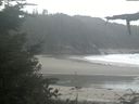 ./images/calvert/beach/20210911/beach20210911_115502.jpg