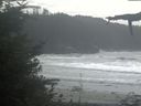 ./images/calvert/beach/20210911/beach20210911_144003.jpg