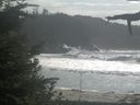 ./images/calvert/beach/20210911/beach20210911_152001.jpg