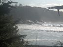 ./images/calvert/beach/20210911/beach20210911_160003.jpg