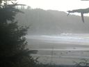 ./images/calvert/beach/20210911/beach20210911_195003.jpg