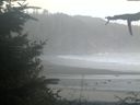 ./images/calvert/beach/20210911/beach20210911_200503.jpg