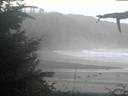 ./images/calvert/beach/20210911/beach20210911_201003.jpg