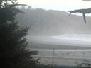 ./images/calvert/beach/20210911/beach20210911_201502.jpg