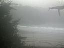 ./images/calvert/beach/20210914/beach20210914_085501.jpg