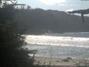 ./images/calvert/beach/20210919/beach20210919_121003.jpg