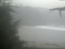 ./images/calvert/beach/20210921/beach20210921_101502.jpg