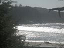 ./images/calvert/beach/20210922/beach20210922_135002.jpg