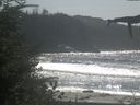 ./images/calvert/beach/20210922/beach20210922_140501.jpg