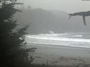 ./images/calvert/beach/20210930/beach20210930_092503.jpg