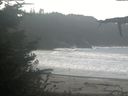 ./images/calvert/beach/20211002/beach20211002_121003.jpg
