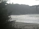 ./images/calvert/beach/20211003/beach20211003_111002.jpg
