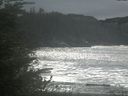 ./images/calvert/beach/20211008/beach20211008_135503.jpg