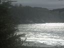 ./images/calvert/beach/20211008/beach20211008_141003.jpg