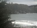 ./images/calvert/beach/20211008/beach20211008_144001.jpg