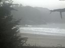 ./images/calvert/beach/20211009/beach20211009_121502.jpg
