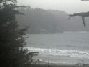 ./images/calvert/beach/20211009/beach20211009_141502.jpg