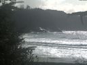 ./images/calvert/beach/20211010/beach20211010_145502.jpg