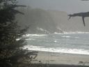 ./images/calvert/beach/20211012/beach20211012_161502.jpg