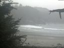 ./images/calvert/beach/20211015/beach20211015_132003.jpg